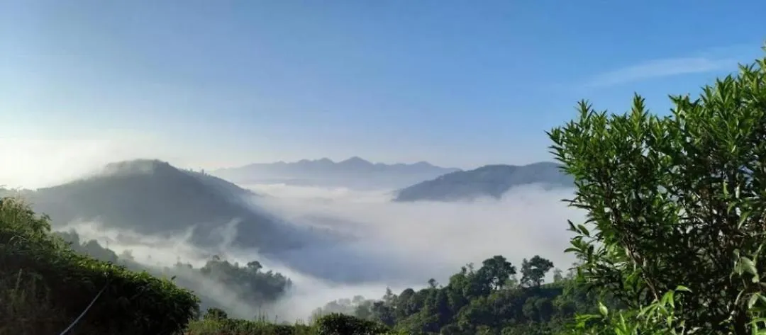 Sree Vinayaka Homestay Vagamon India